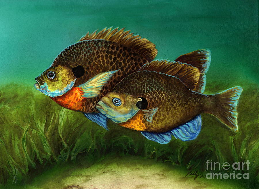 Pretty Little Panfish Painting by Kathleen Kelly Thompson