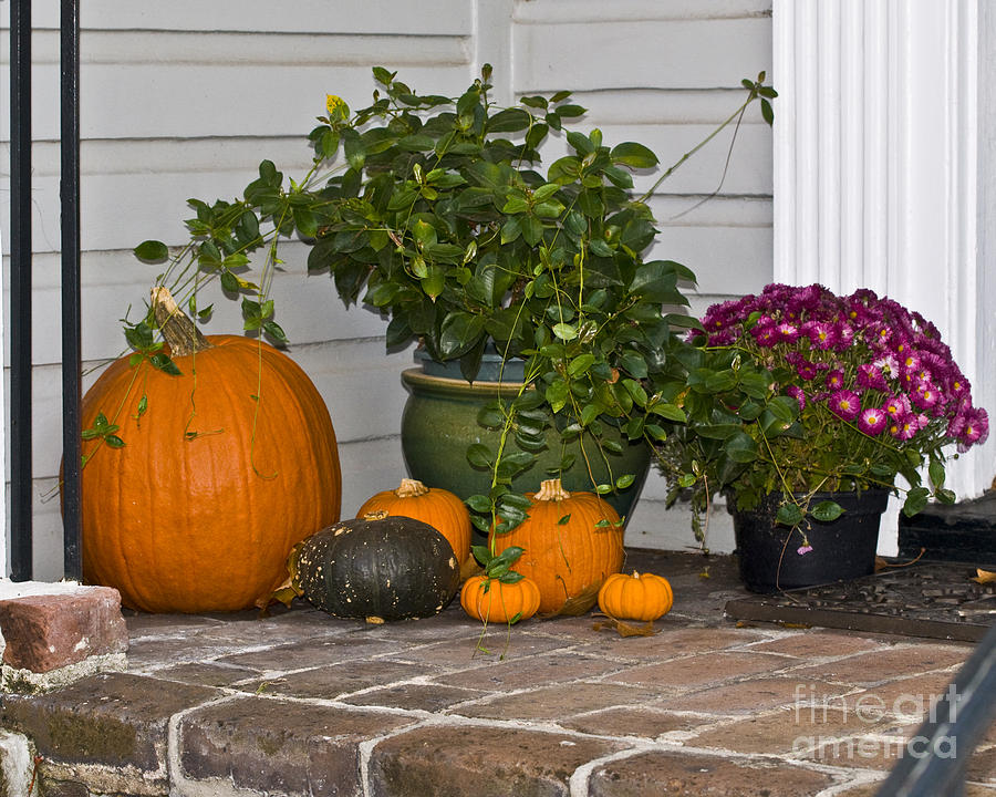 Pretty Pumpkins Photograph by Al Powell Photography USA