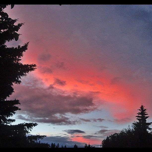 Love Photograph - Pretty #red #sky by Natasha Taylor