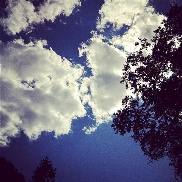 Pretty Sky Today! Photograph by Courtney Lee
