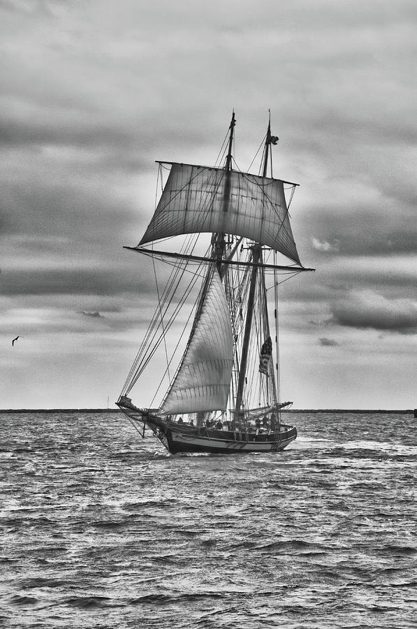Pride of Baltimore II 5991 Photograph by Guy Whiteley