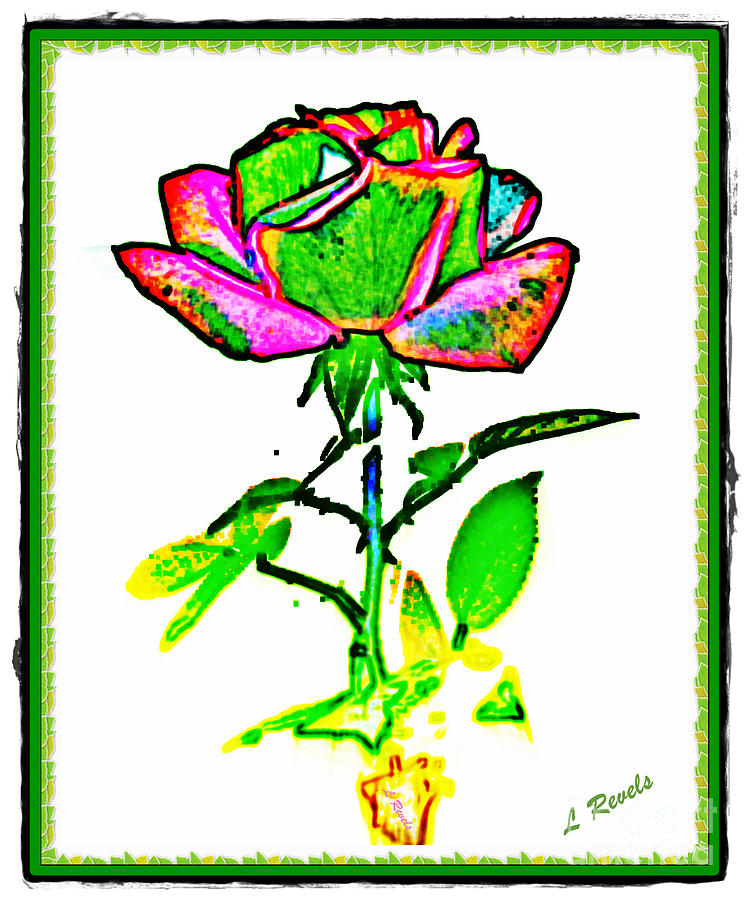 Primary Rose Photograph