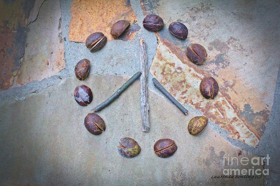 Nature Photograph - Primitive Peace Sign by Laurinda Bowling