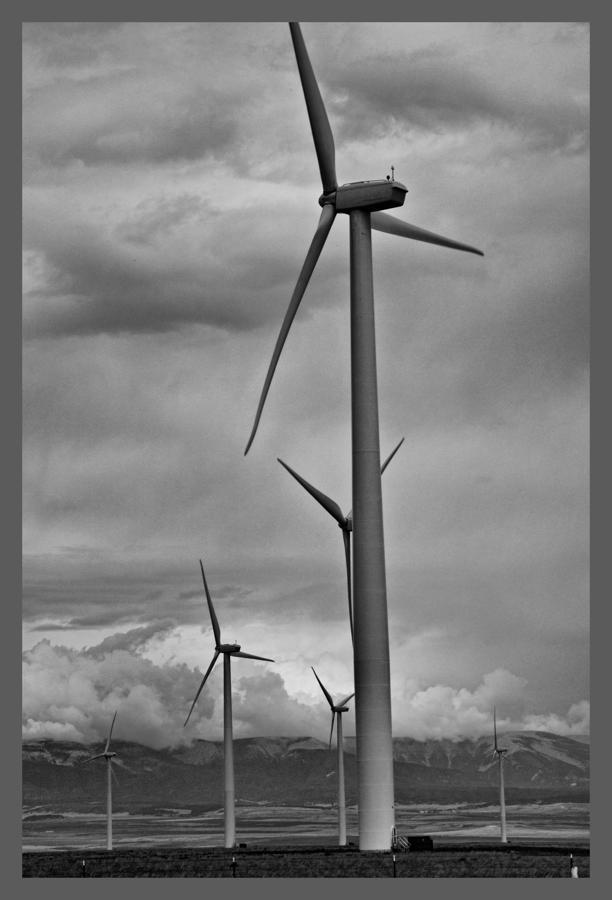 Wind Photograph - Progress by Sheri Bartoszek