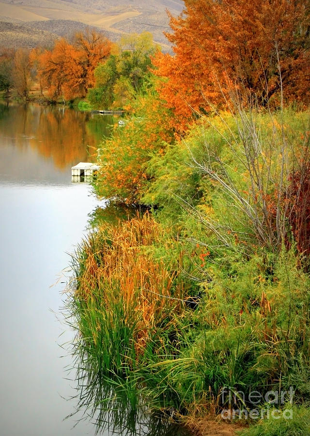 Fall Photograph - Prosser Autumn Docks by Carol Groenen