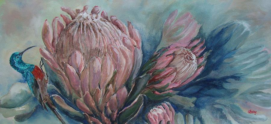 Protea and sunbird Painting by Catherine Calder - Fine Art America