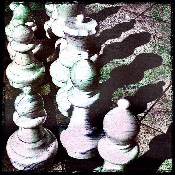 Chess Photograph - Protect The King - Chess Gone Mad #chess by Photography By Boopero