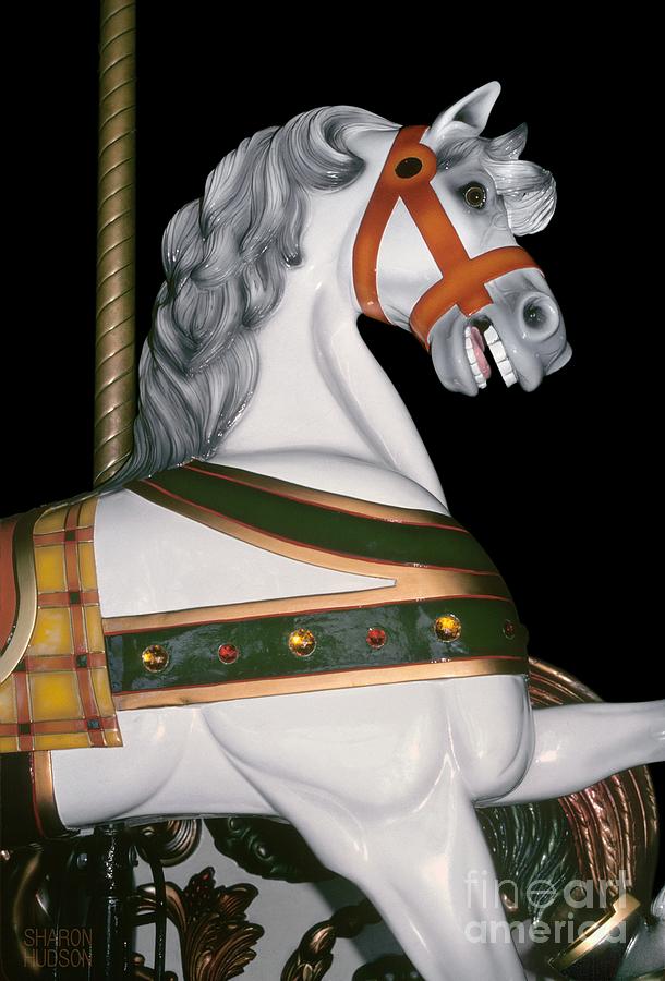 proud carousel steed - White Horse with Chariot Photograph by Sharon Hudson