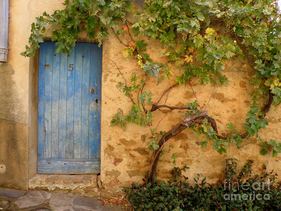 Provence Door 5 Photograph by Lainie Wrightson