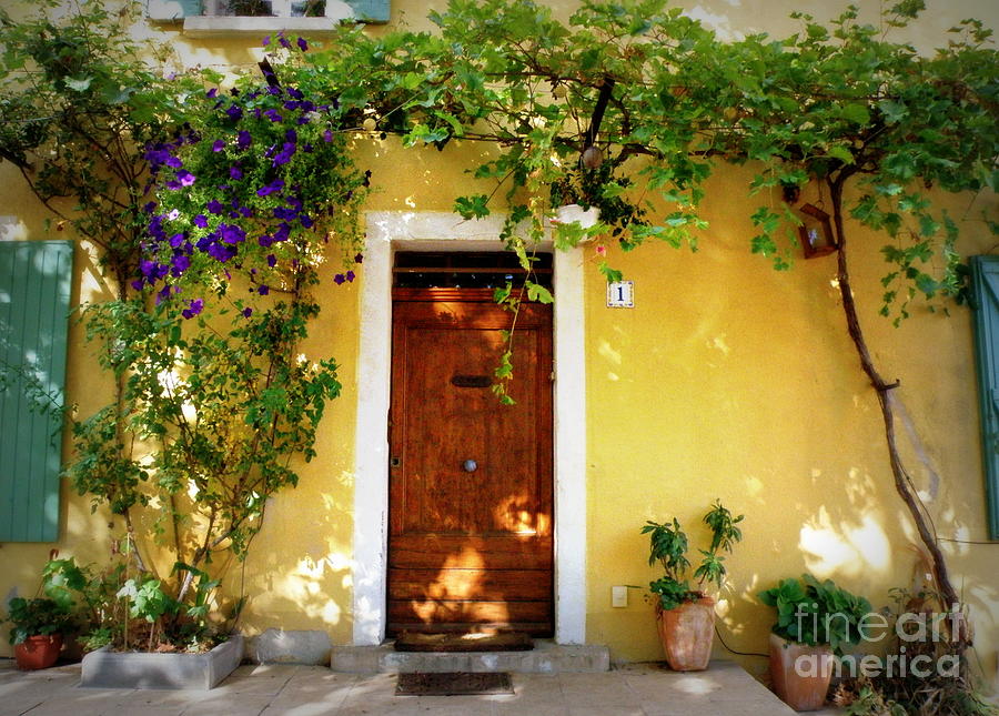 Provence Door Number 1 Photograph by Lainie Wrightson