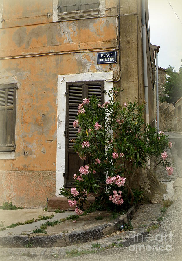 Provence Door Number 9 Photograph by Lainie Wrightson