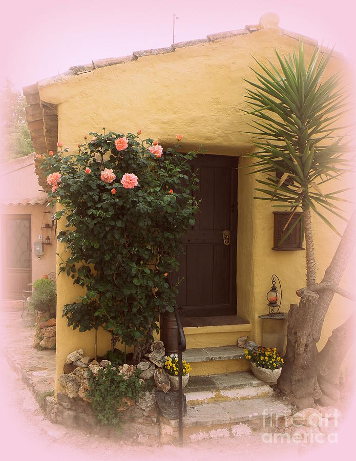 Provence Patina Photograph by Lainie Wrightson