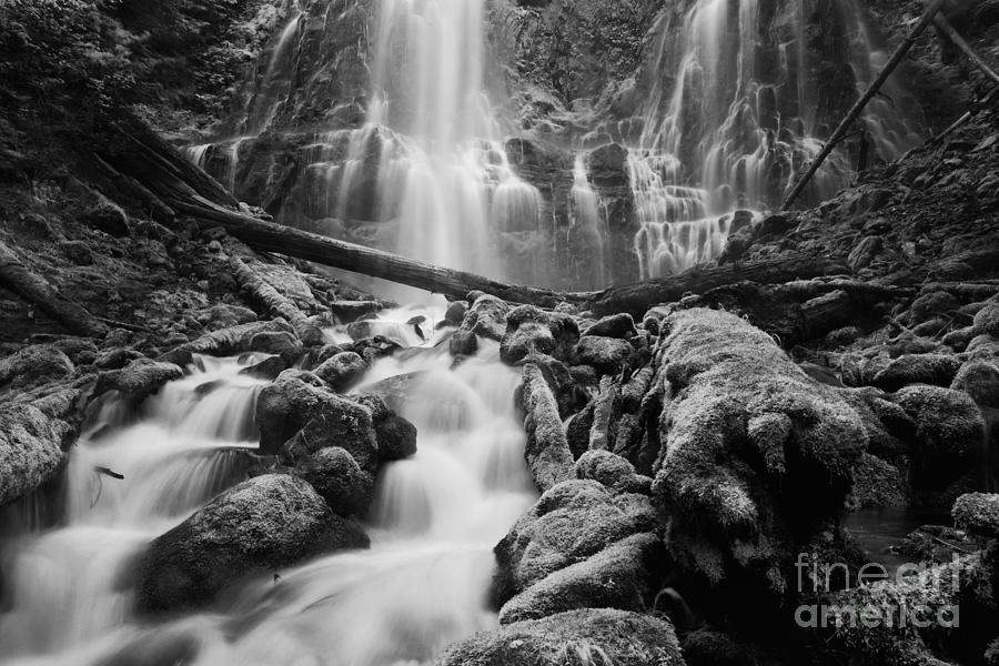 Waterfall Photograph - Proxy Falls by Keith Kapple