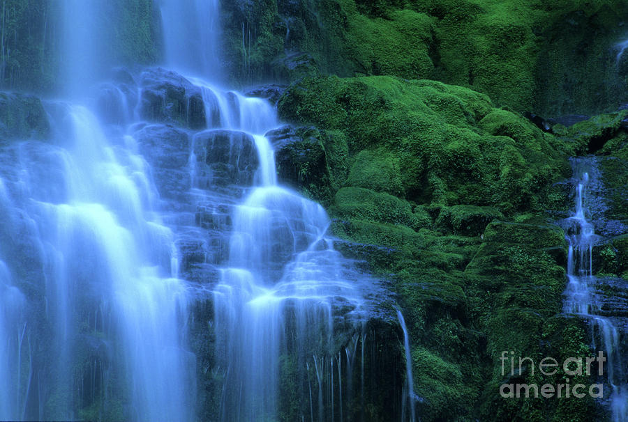 Waterfall Photograph - Proxy Falls Oregon by Bob Christopher