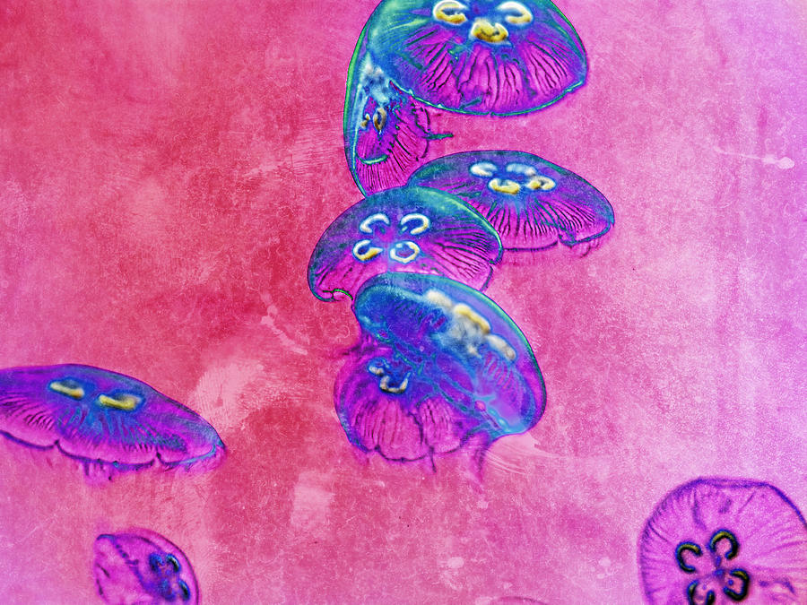Psychedelic Retro Grunge Jellyfish Painting by Tracie Schiebel