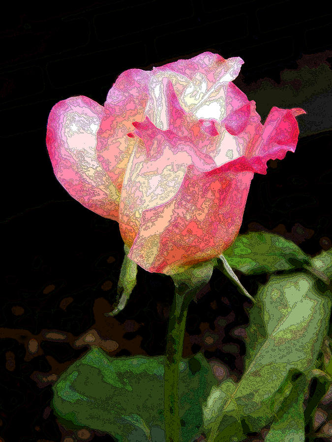 Psychedelic rose фиалка фото