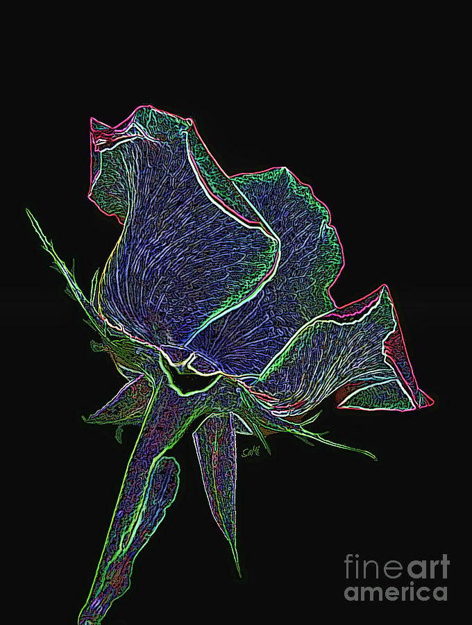 Psychedelic Rose Photograph by Sami Martin