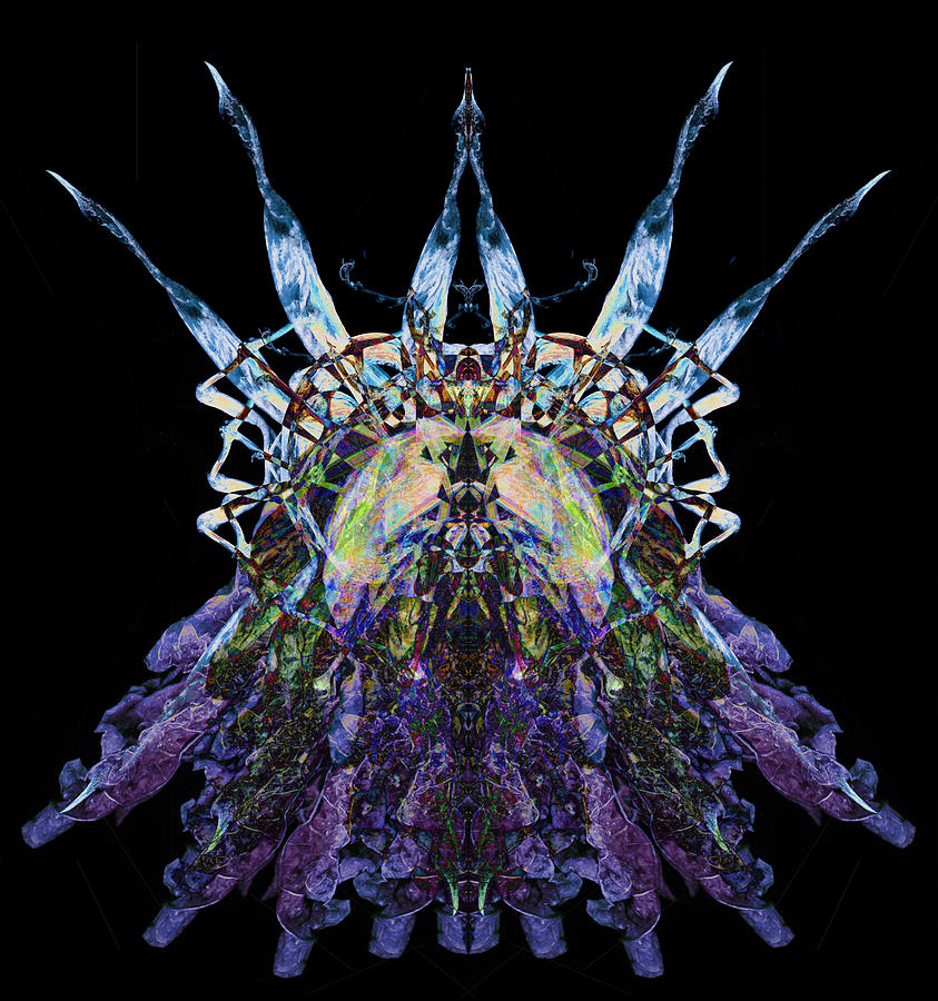 Psychedelic Spines Photograph by David Kleinsasser