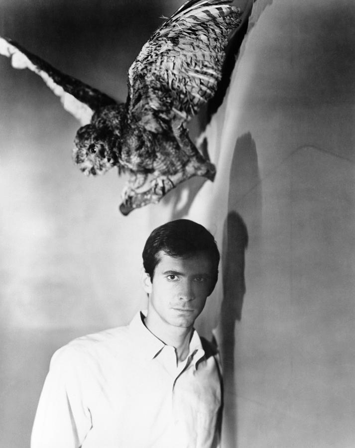 Psycho Anthony Perkins 1960 Photograph By Everett Fine Art America 2763