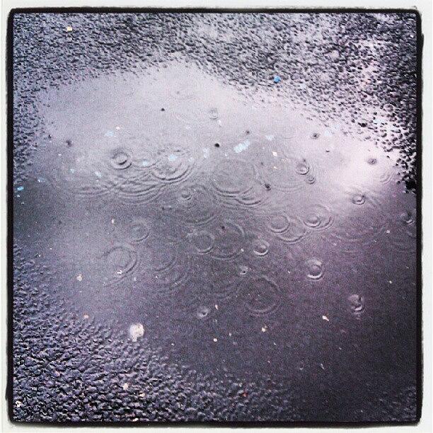 Puddle And Raindrops Photograph by Jennifer Cameron