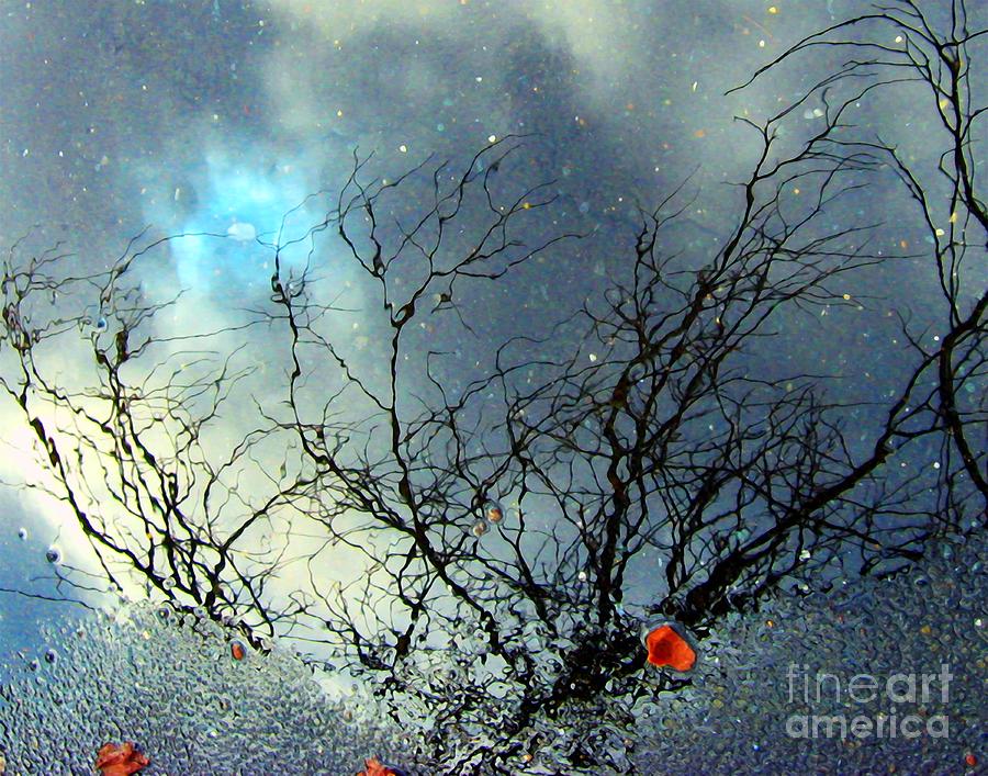 Puddle Art 2 Digital Art by Dale   Ford