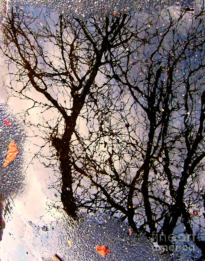Puddle Art 4 Digital Art by Dale   Ford