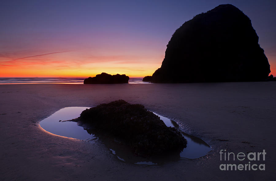 Sunset Photograph - Puddles and Stones by Michael Dawson