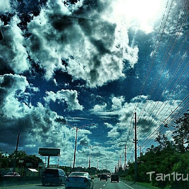 Nature Photograph - #puertorico #avenue #may27 by Tania Torres