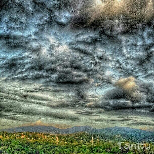 Nature Photograph - #puertorico #may28 #androidphotography by Tania Torres