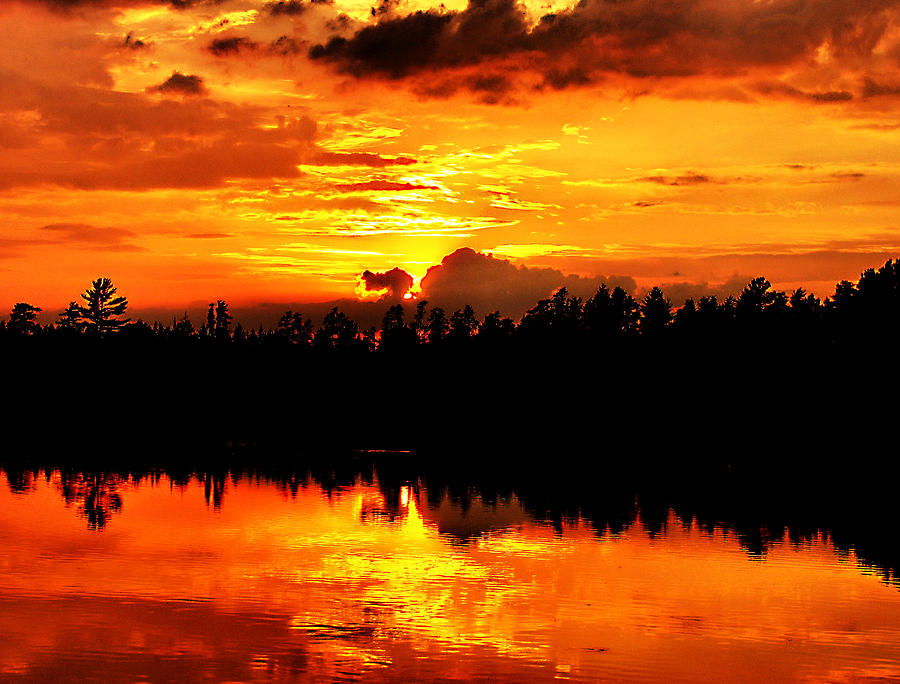 Puff the Magic Dragon Photograph by Matthew Winn - Fine Art America