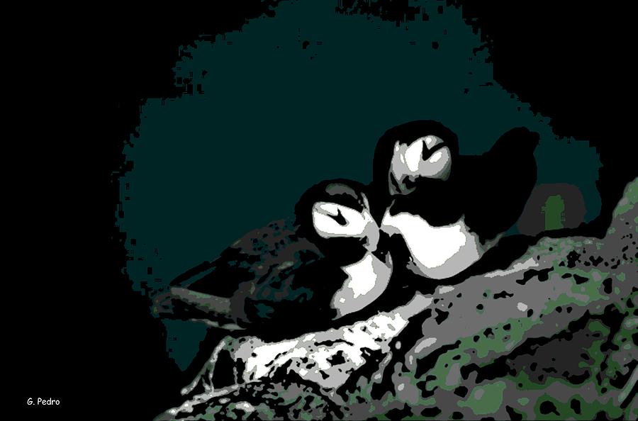 Puffin Photograph - Puffin Love by George Pedro Puffin Photograph - Puffin Love by George Pedro