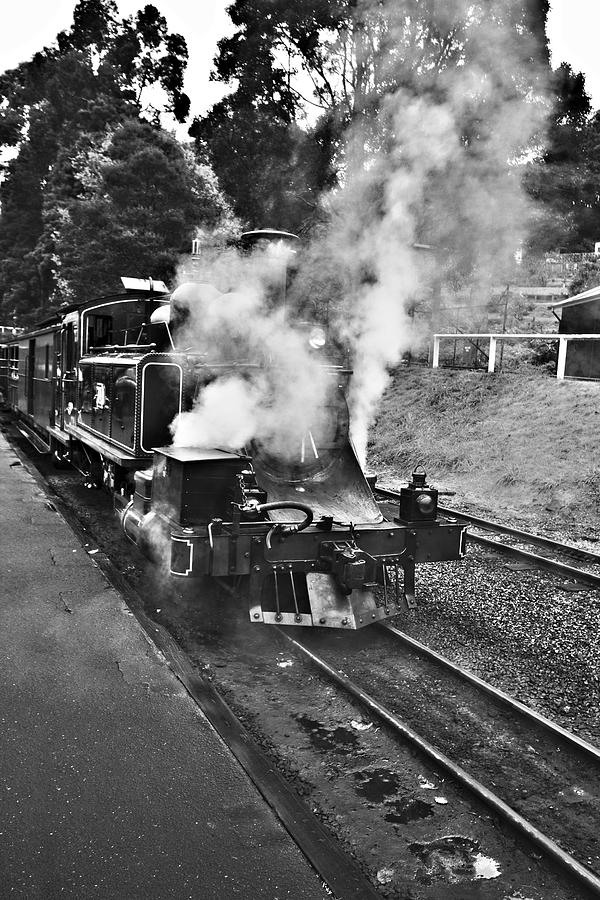 Puffing Billy Black and White Photograph by Douglas Barnard