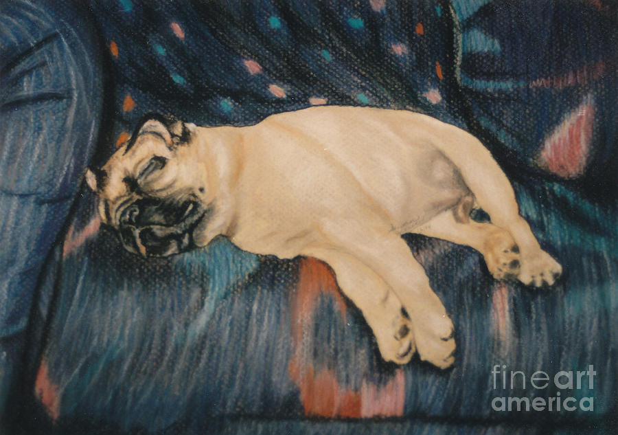 Pug Potato Pastel by Susan Herber - Fine Art America