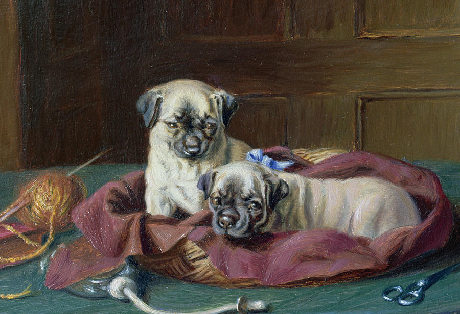 Pug Puppies in a Basket Painting by  Horatio Henry Couldery