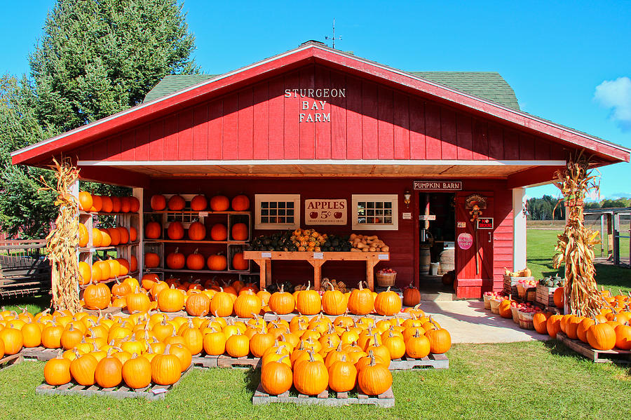 Pumpkin Barn Photograph by Rachel Cohen