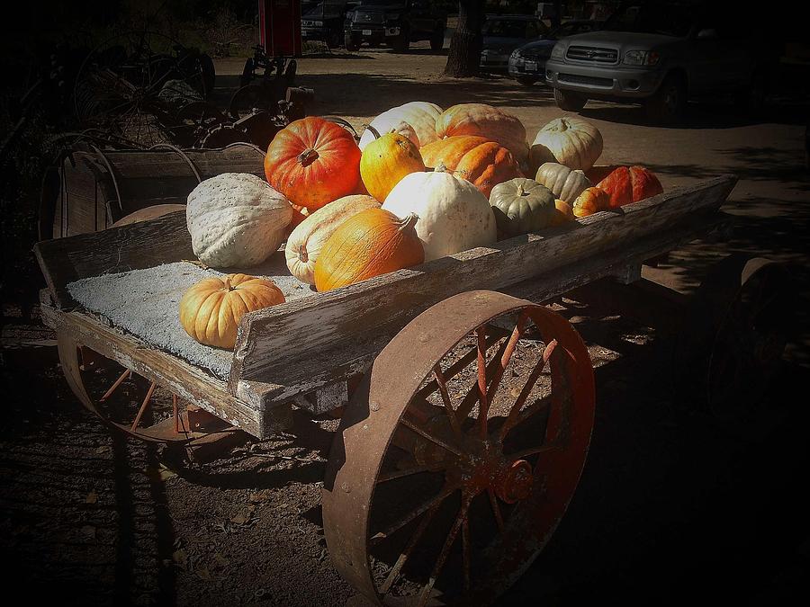 Pumpkin Cart Photograph by Andrew Drozdowicz