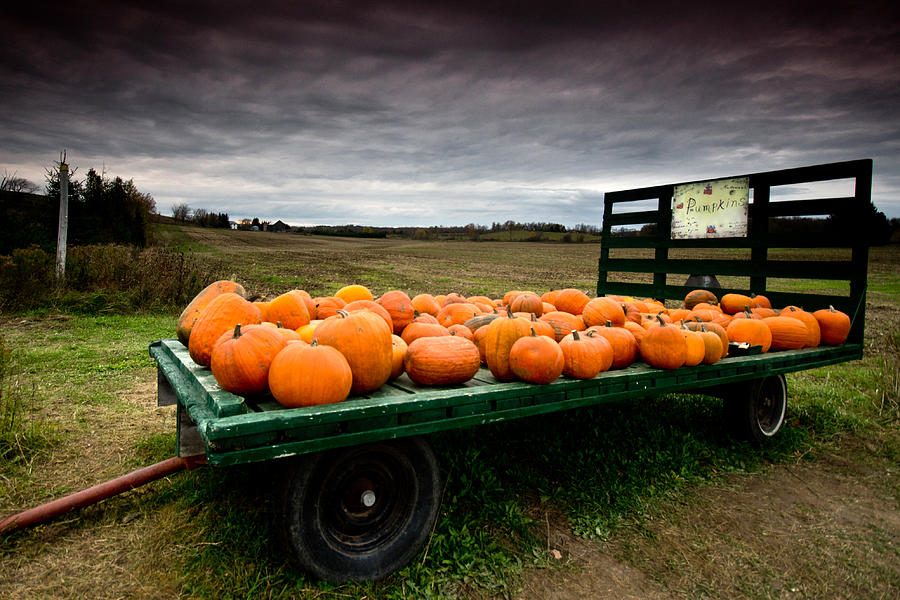 Pumpkin Cart Photograph