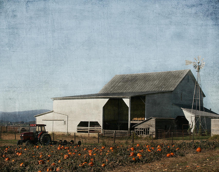 Fall Photograph - Pumpkin Farm by Kim Hojnacki