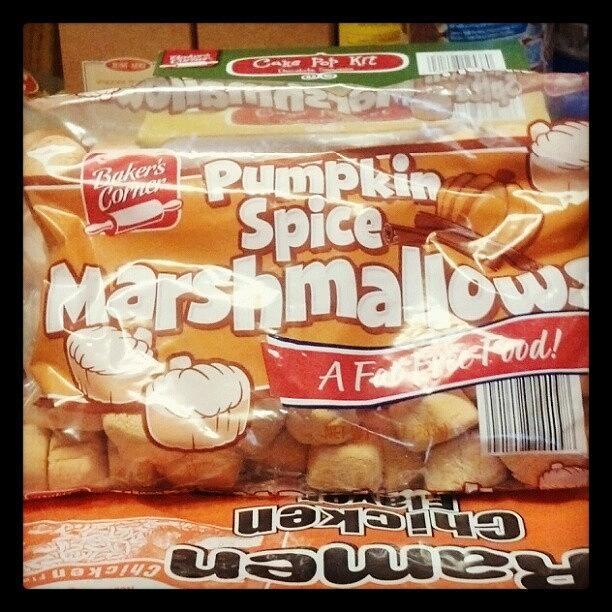 Pumpkin Marshmallows!!!!!!! Yum!!!! Photograph by Immortal Dreams
