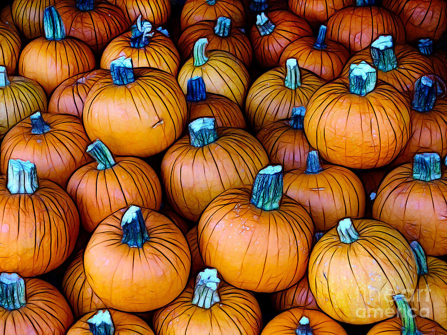 Pumpkin Patch Photograph by Judi Bagwell