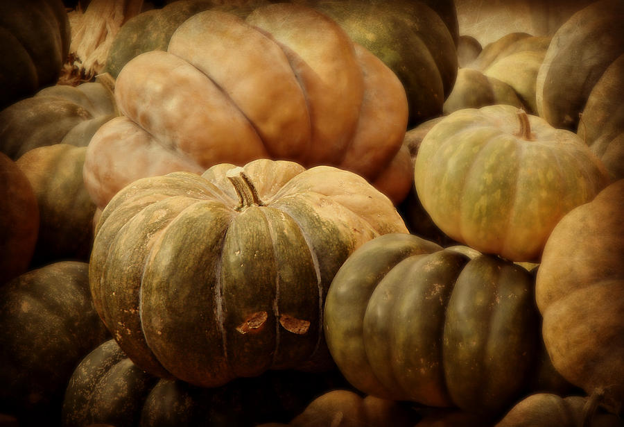 Pumpkin Pile Photograph by Dark Whimsy