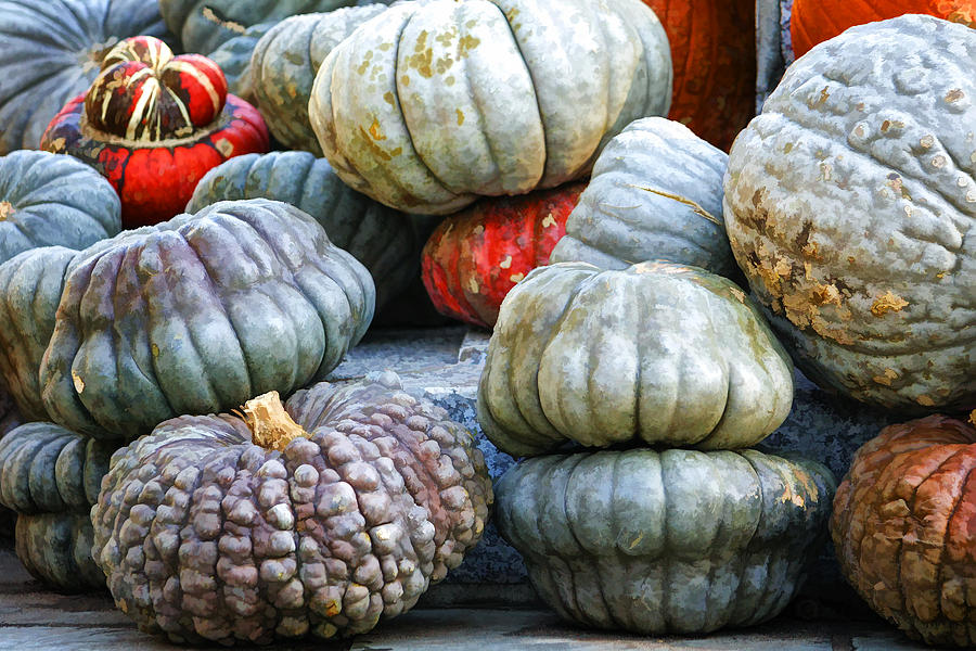 Pumpkin Pile Photograph by Joan Carroll