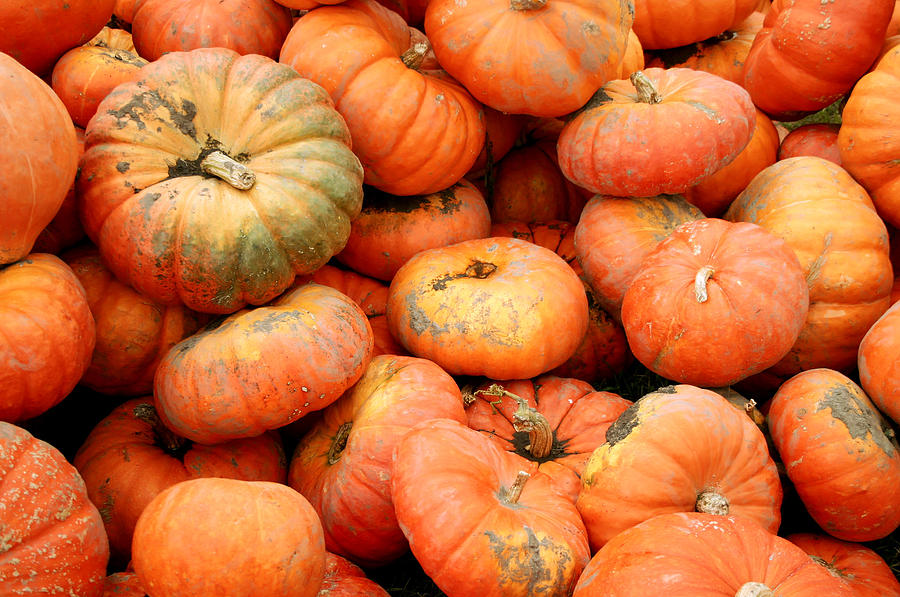 Pumpkins Photograph - Pumpkin Pile by Meaghan Jacklitch
