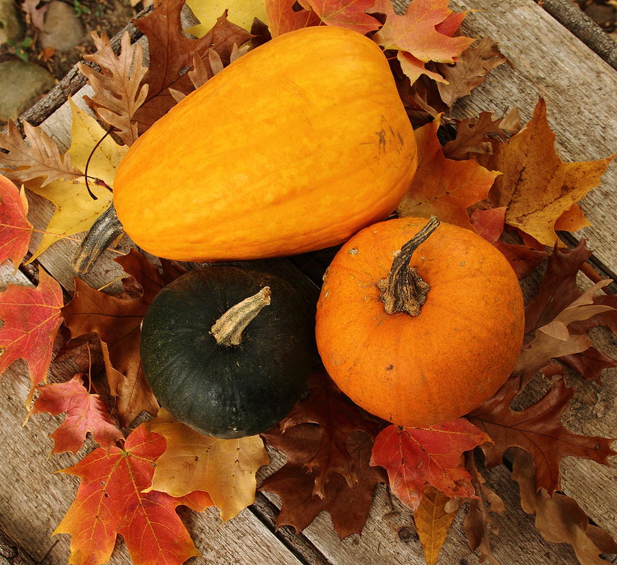 Pumpkin Trio Photograph by Coby Cooper