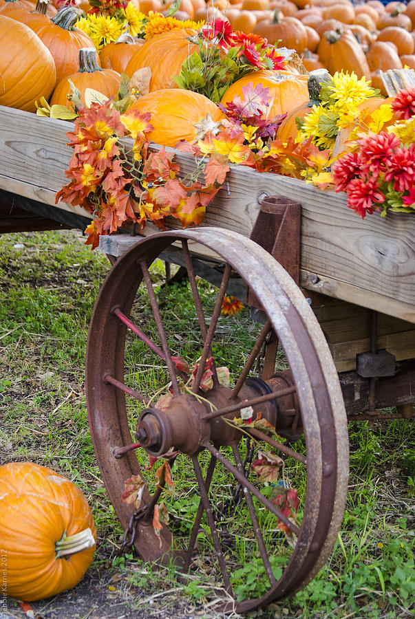 Pumpkin Wagon 2 Photograph by Debbie Karnes