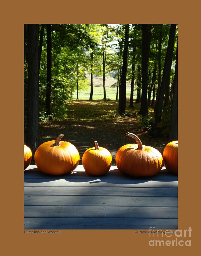 Pumpkins and Woods-I Photograph by Patricia Overmoyer