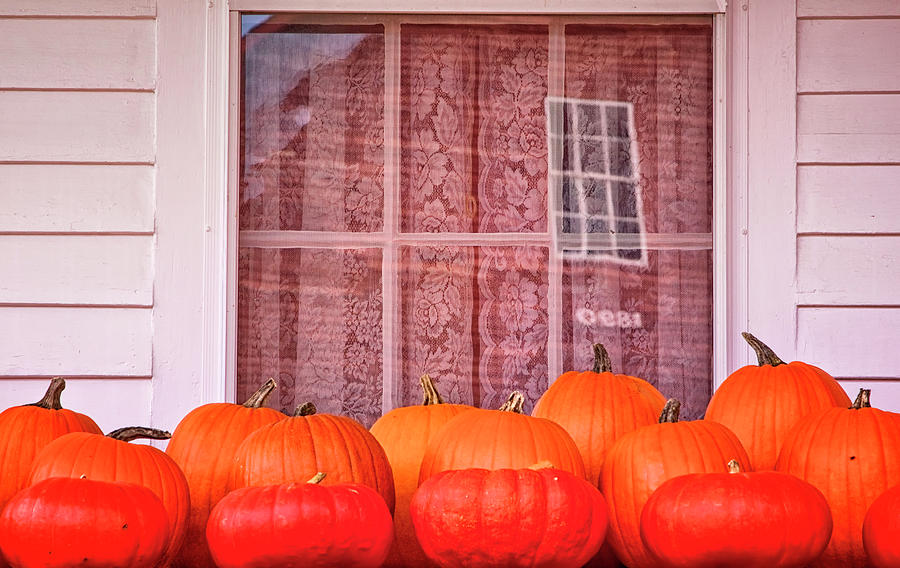 Pumpkins Curtains Red Barn Photograph by Tom Singleton