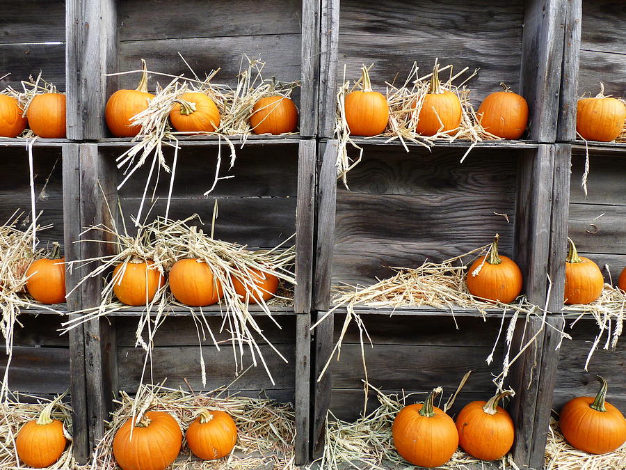 Pumpkins For Sale Photograph by Jeff Lowe