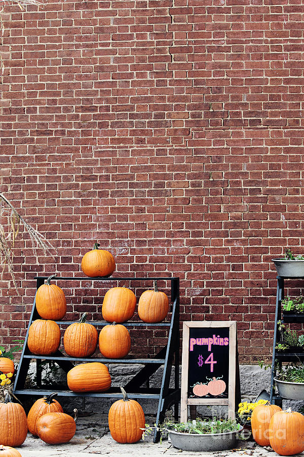Pumpkins For Sale Photograph by Stephanie Frey