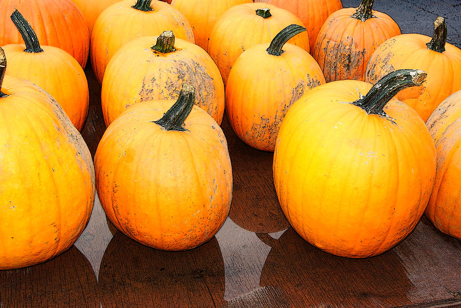 Pumpkins Harvest Photograph by Margie Avellino